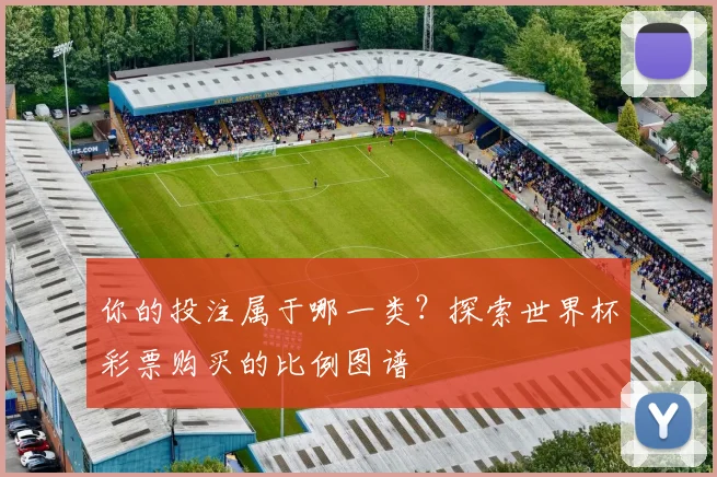 你的投注属于哪一类?探索世界杯彩票购买的比例图谱