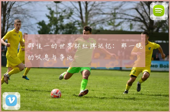 邵佳一的世界杯红牌记忆：那一晚的叹息与争论