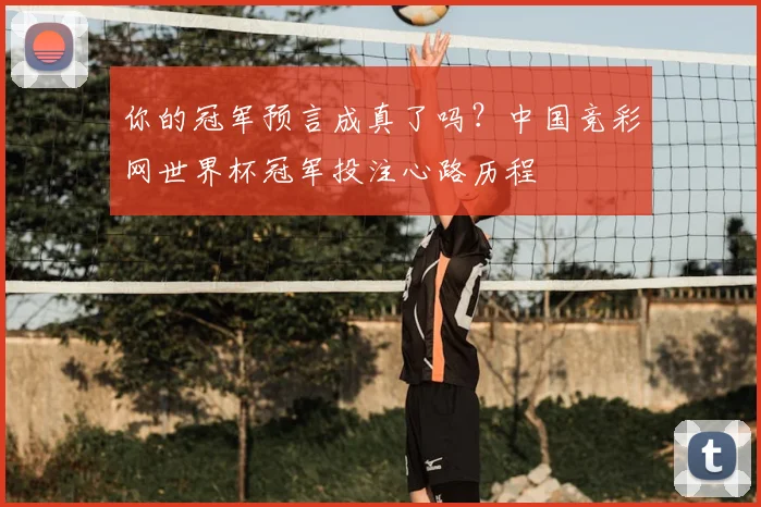 你的冠军预言成真了吗?中国竞彩网世界杯冠军投注心路历程