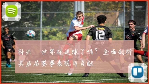 孙兴慜世界杯进球了吗？全面剖析其历届赛事表现与贡献